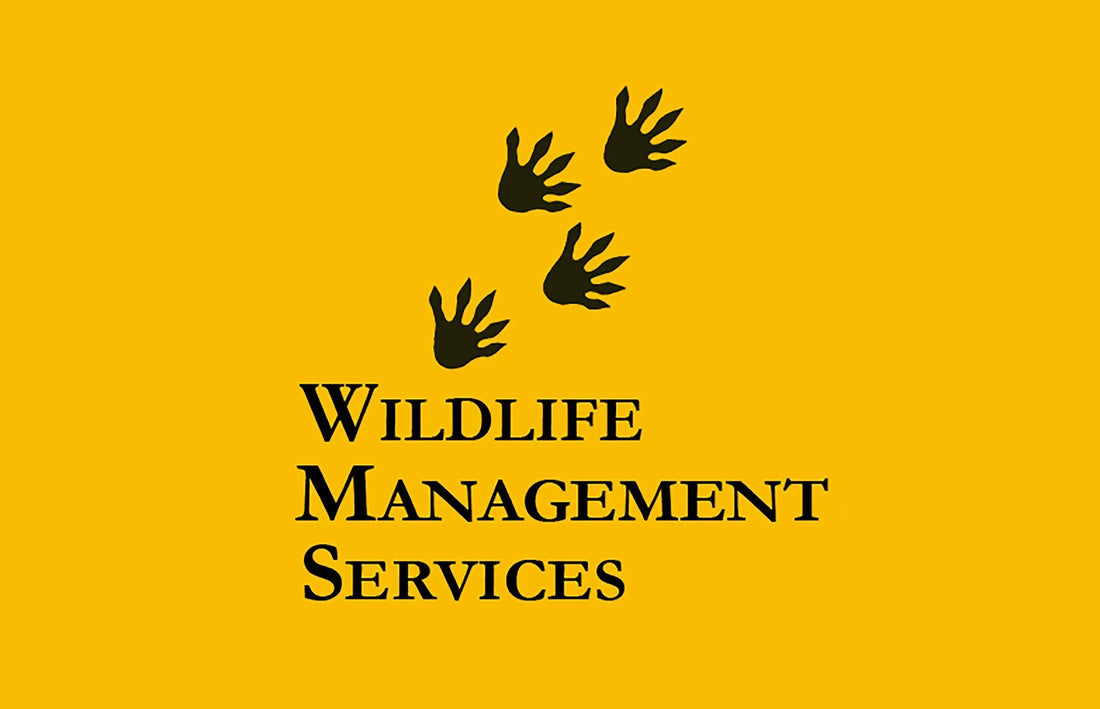 Interview With Melissa Neitzke From Wildlife Management Services