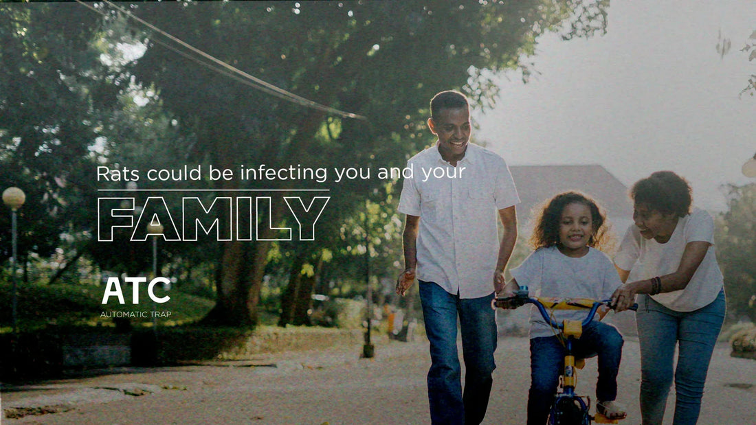 Rats could be infecting you and your family already!