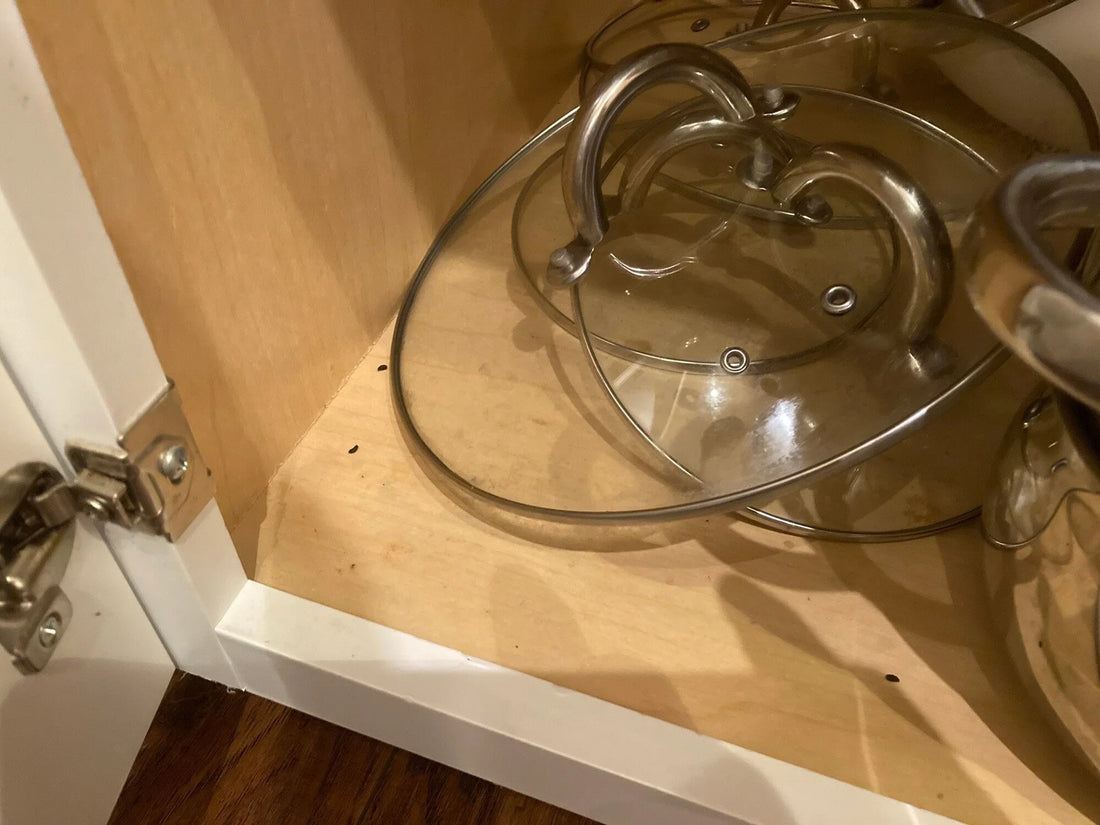 New National Survey from Automatic Trap Company Shows 88% of Travelers Will Give a 1-Star Rating If a Rodent is Seen at a Vacation Rental Property