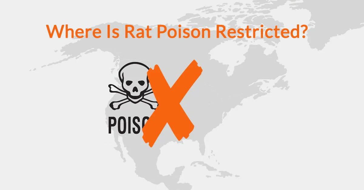 Where Is Rat Poison Restricted? – Automatic Trap Company - Canada