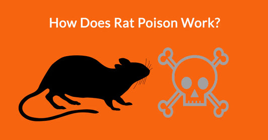 How does rat poison work?