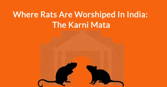 The Karni Mata Temple: Where Rats Are Worshiped