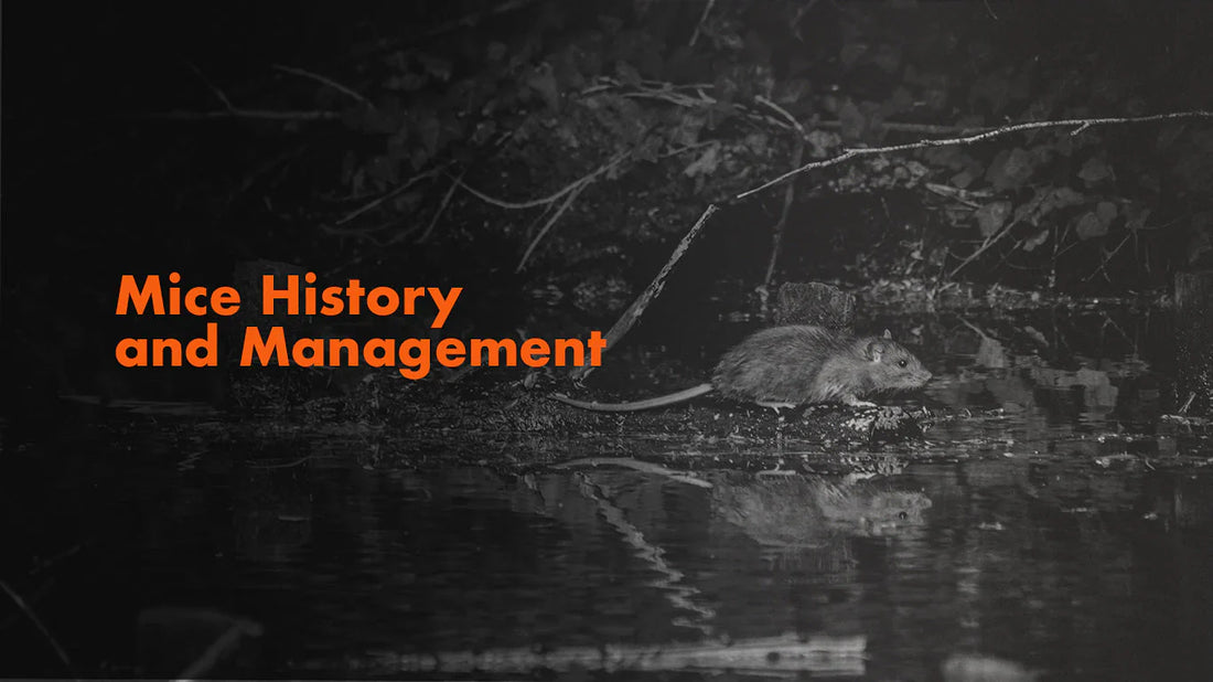 The World of Mice: Adaptability, History, and Impact