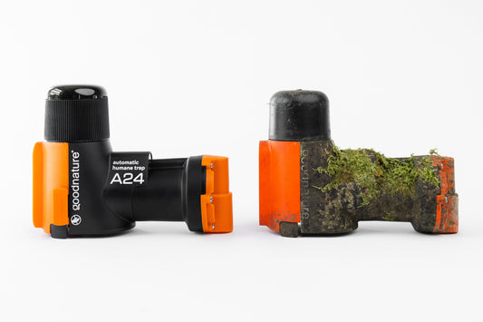 Wildlife Preservation: Animals Protected by Goodnature® Traps