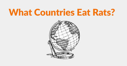 What Countries Eat Rats? A Guide To Eating Rats