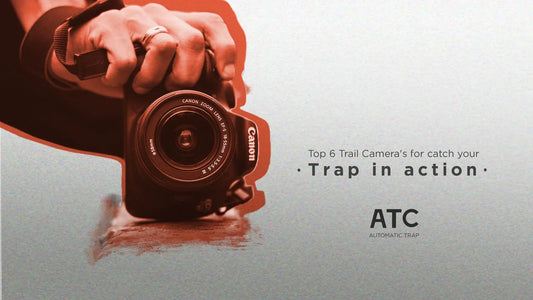 Top 6 Trail Cameras For Catching Your Trap in Action