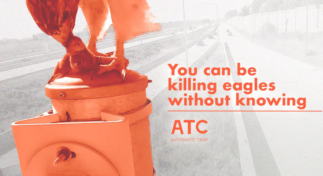 You can be killing eagles without knowing!