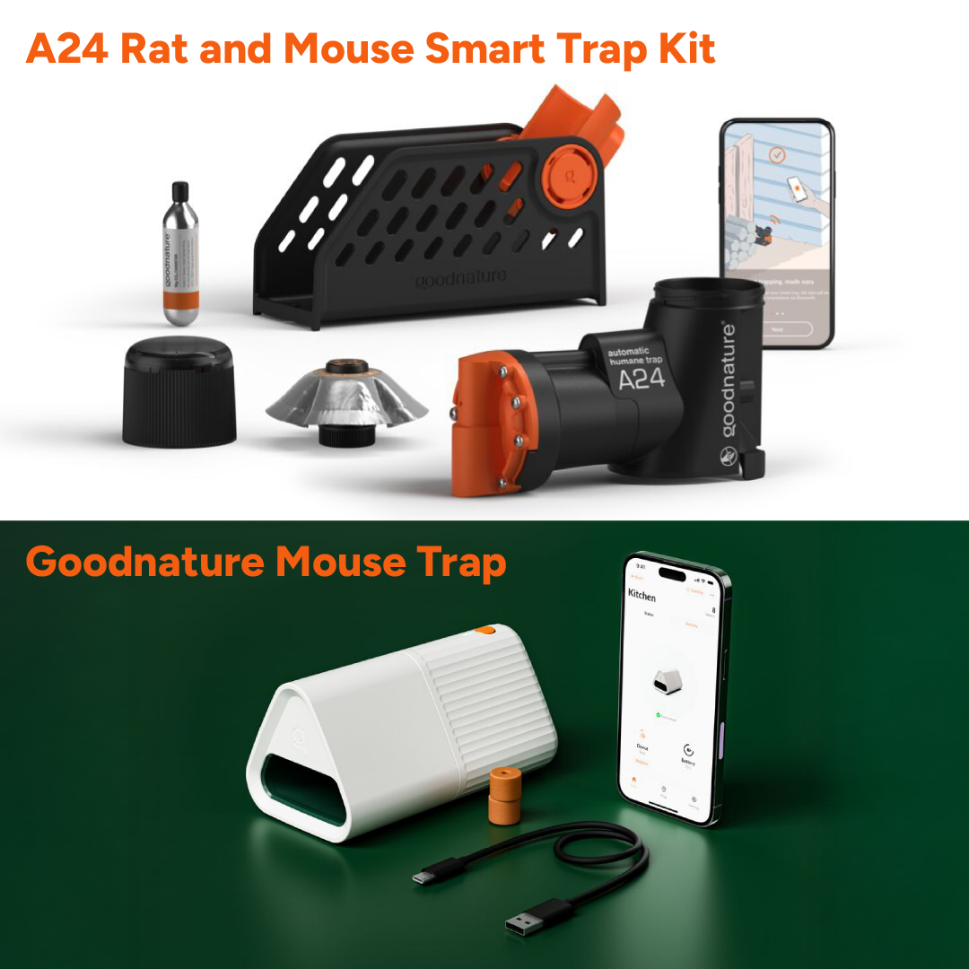Super Smart Bundle